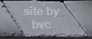 bvc website